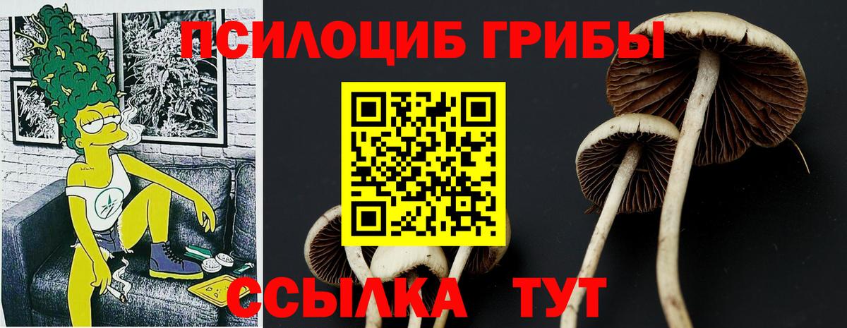 как найти наркотики  Вход с VPN  Саранск  Псилоцибиновые грибы MAGIC MUSHROOMS  Псилоцибиновые грибы ЛСД 