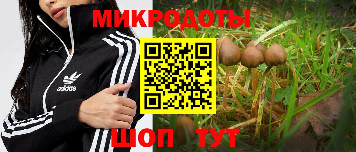 Галлюциногенные грибы GOLDEN TEACHER Саранск